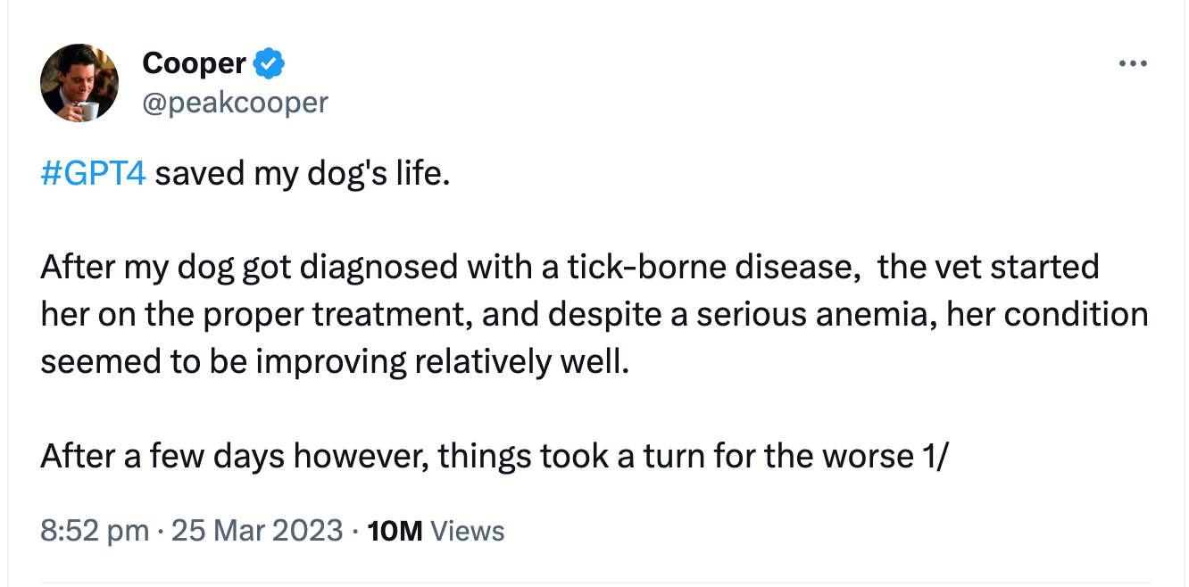 ChatGPT saves a dog's life